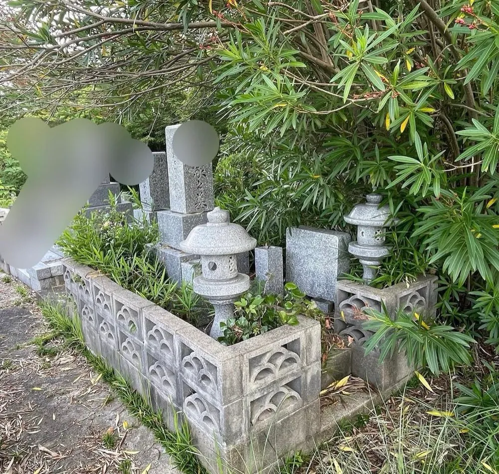 お墓参り代行の作業前｜遠方で、定期的なお参りや現地確認が難しい状態。